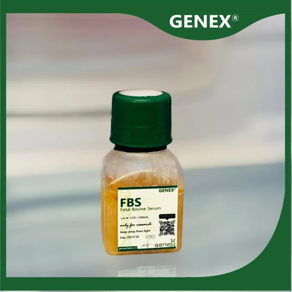 fbs سرم جنین گاوی