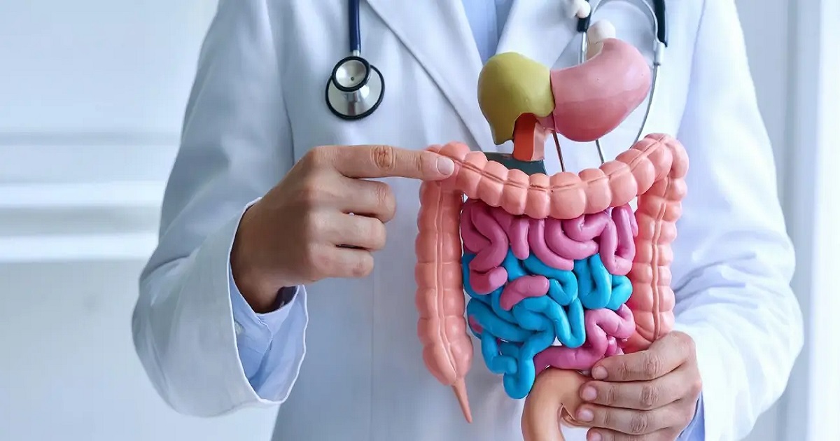 درمان شایعترین مشکلات دستگاه گوارش در کلینیک حکمت شیراز درمان شایعترین مشکلات دستگاه گوارش در کلینیک حکمت شیراز