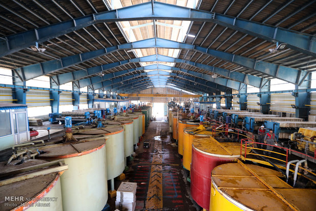 انتقال«شهرک تخصصی روی زنجان»از حرف تا عمل؛ مسیری پراز چالش و اما و اگر