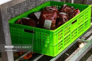 تنش بازار گوشت در مشهد با افزایش عرضه و کنترل و نظارت در حال فروکش است