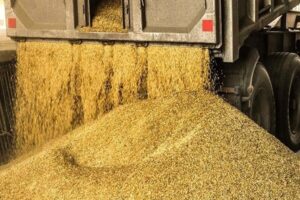 توزیع نهاده‌های دامی از بندر امام ۱۶ درصد رشد کرد