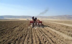 خاک ستون امنیت غذایی؛ آینده کشاورزی کرمانشاه بر شانه‌های خاک