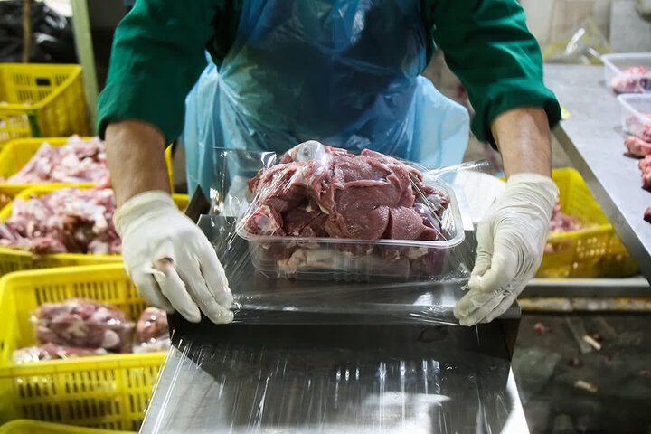 رضایی: ۵۷ هزار تن گوشت در کشتارگاه‌های استان مرکزی استحصال شد