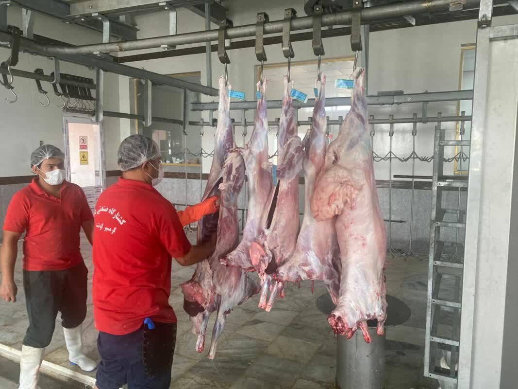 زنجیره سرد گوشت تا دورترین شهرستانهای استان بوشهر زنجیره سرد گوشت تا دورترین شهرستانهای استان بوشهر