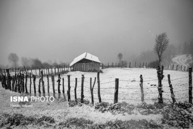 زیبایی حیرت انگیز اولین برف پاییزی در ارتفاعات سوادکوه+ عکس