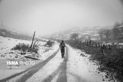 زیبایی حیرت انگیز اولین برف پاییزی در ارتفاعات سوادکوه+ عکس