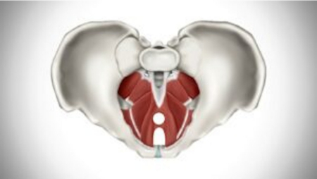 لرزش واژن, احساس لرزش در لگن
