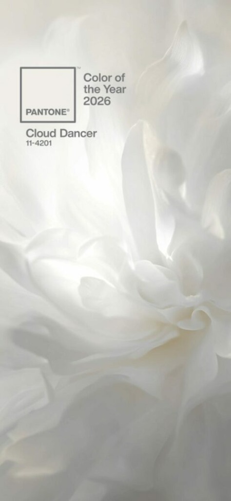 آشنایی با رنگ مد سال ۲۰۲۶