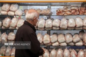 نوسانات بازار مرغ و گوشت گلستان زیر سایه کمبود نهاده‌ها