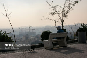 هرگونه فعالیت ورزشی در فضای باز فعلا ممنوع است