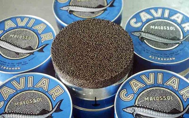 ولی زاده: ۸۰ درصد خاویار بابلسر به ۳۲ کشور صادر می‌شود