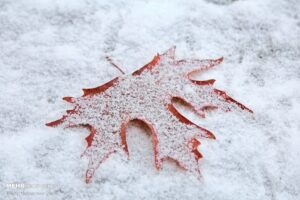 گزارش هواشناسی کشور در ۳۰ آذر ۱۴۰۴ / هشدار فوری هواشناسی صادر شد