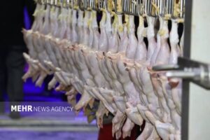 ۲ تن مرغ تاریخ‌گذشته در سردخانه‌های اهواز کشف شد