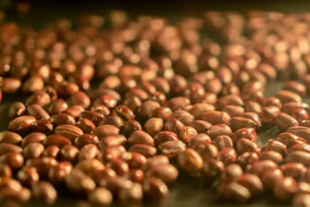 از بین بردن بوی کهنگی بادام زمینی, بوی کهنگی بادام زمینی