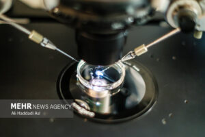 تأثیر مصرف دخانیات و الکل بر بارداری و موفقیت IVF