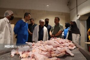 مازندران ۸۵۰ تن مرغ به بازار کشور تزریق کرد