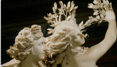 روش نگهداری گیاه برگ بو, نگهداری برگ بو در گلدان