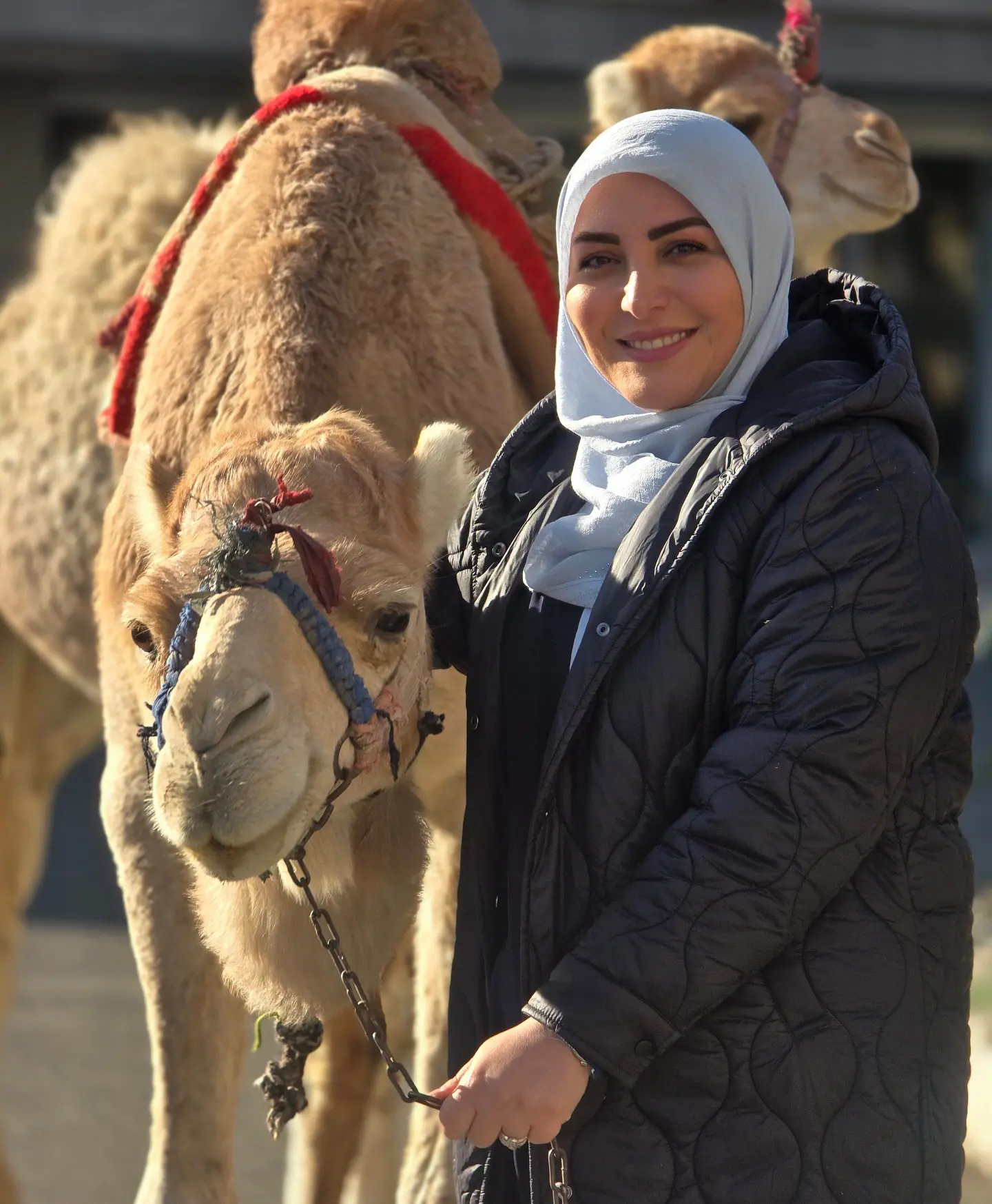 ژست دیدنی المیرا شریفیمقدم در کنار یک شتر ژست دیدنی المیرا شریفیمقدم در کنار یک شتر