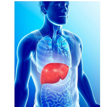 ارتباط گردن درد و کبد چرب, درمان گردن درد