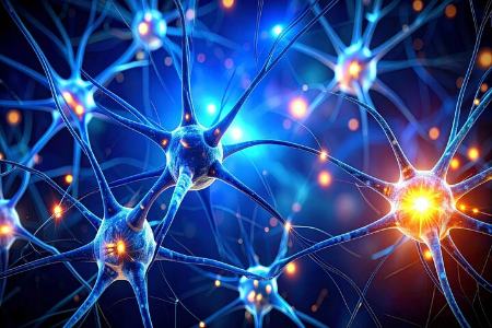 مغز،اخبار پزشکی،خبرهای پزشکی