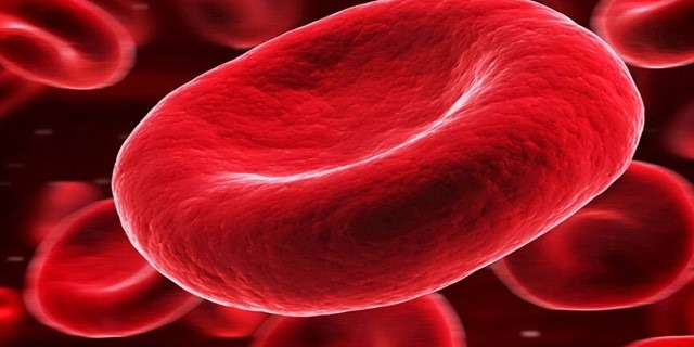 برای غلظت خون چکار کنیم؟ روش های موثر برای کنترل غلظت خون