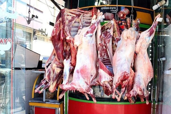 سلامت عمومی در خطر است؛ لزوم برخورد با کشتار غیرمجاز دام در کرمانشاه