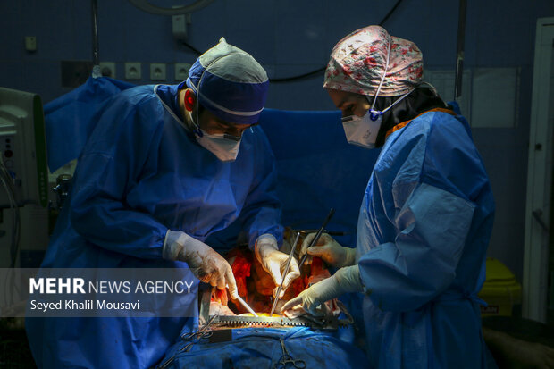 مرگی که به زندگی ختم می‌شود!