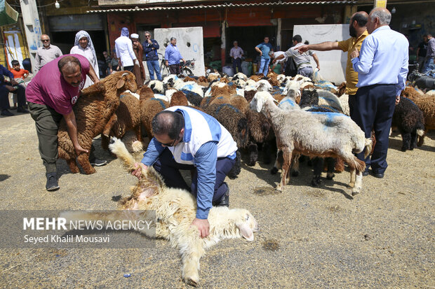نظارت‌های ویژه دامپزشکی در چهارمحال و بختیاری همزمان با رمضان و نوروز