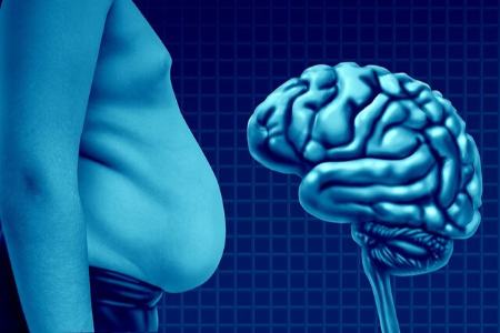 چربی،اخبار پزشکی،خبرهای پزشکی