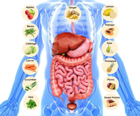 غذاهای مفید برای روده, تغذیه سالم برای کاهش التهاب روده