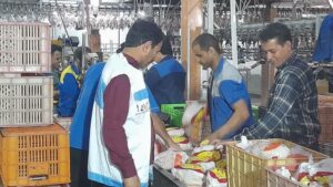 ۴۰ اکیپ دامپزشکی در استان بوشهر نظارت می‌کنند