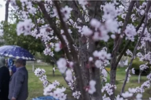 نمایی از رنگین کمان زیبا در تهران پیش از لحظه تحویل سال+ عکس