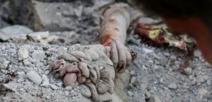 آمار دانش‌آموزان مجروح و شهید شده در جنگ چهل روزه اعلام شد