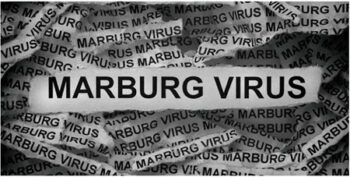 بیماری ماربورگ چیست؟ یک ویروس خطرناک با علائم جدی را بشناسید