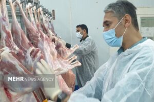 جهش نظارت‌های دامپزشکی در کردستان؛ از دارو تا صادرات فرآورده‌های دامی