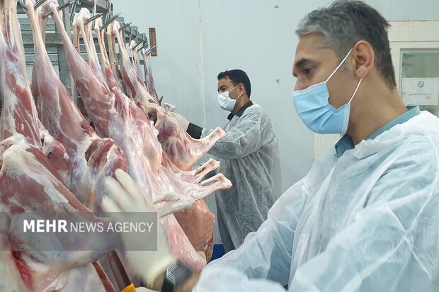 جهش نظارت‌های دامپزشکی در کردستان؛ از دارو تا صادرات فرآورده‌های دامی