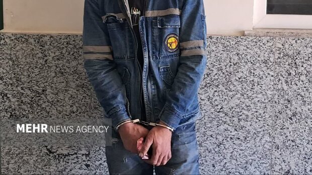 سارق حرفه‌ای با لباس مأمور برق در گرمسار به دام افتاد