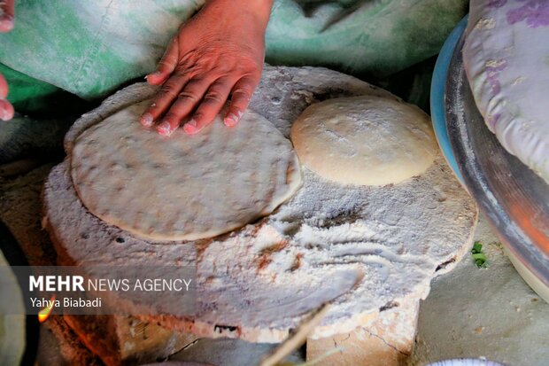 عشایر ایلام در خط مقدم تولید؛ زیرساخت‌ها نیازمند انتظار حمایت ملی