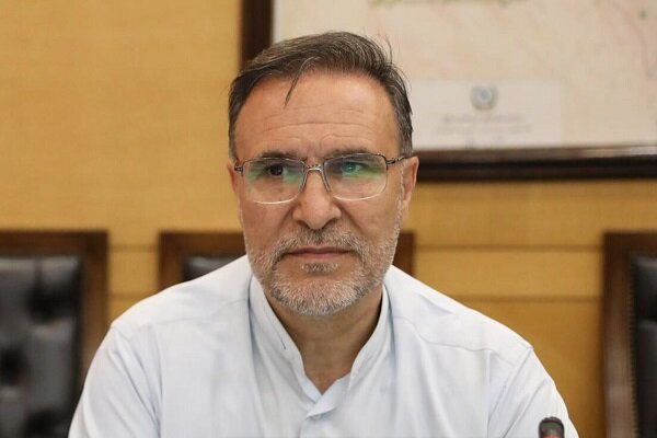 آریایی‌نژاد: نظارت‌های دارویی نیازمند اصلاح و بازنگری است