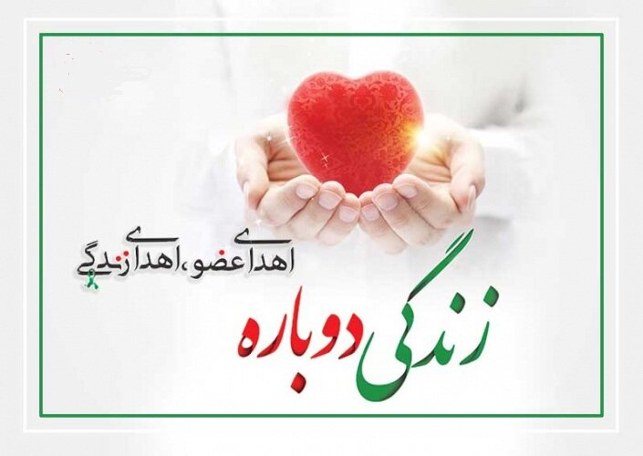 بیش از ۱۴۰۰ بیمار در شیراز با پیوند عضو به زندگی بازگشتند