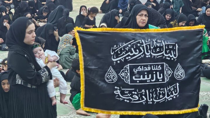 همایش شیرخوارگان حسینی در دیر برگزار شد همایش شیرخوارگان حسینی در دیر برگزار شد