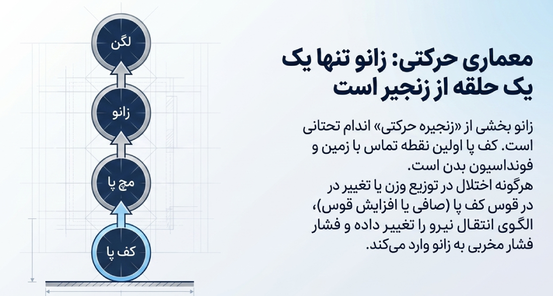 علت زانو درد دلیل اصلی زانو درد