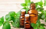 روغن این گیاه فشارخون بالا را ۲۰ روزه بهبود می‌بخشد