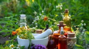 گیاهان دارویی؛ از درمان‌های سنتی تا ضرورت مصرف آگاهانه