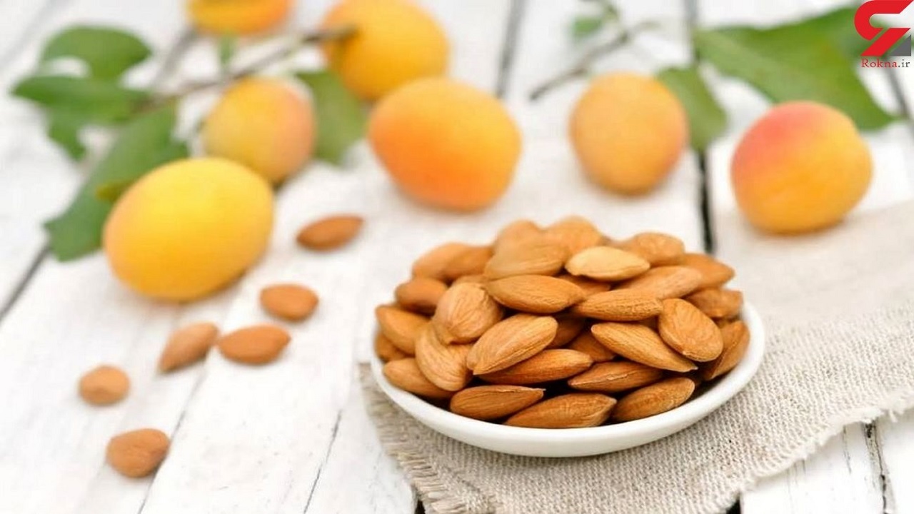 هسته زردآلو را نخورید!/ تلخی گیری به معنی بی خطر شدن هسته نیست!