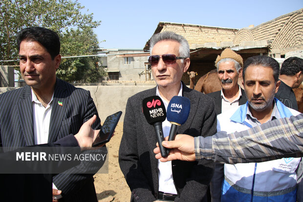 واکسیناسیون رایگان دام و سگ‌های گله در مناطق روستایی پیشوا انجام شد