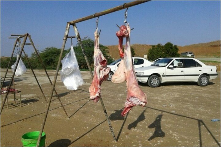 پلمب ۱۱ واحد کشتار و عرضه غیرمجاز دام و طیور در صحنه