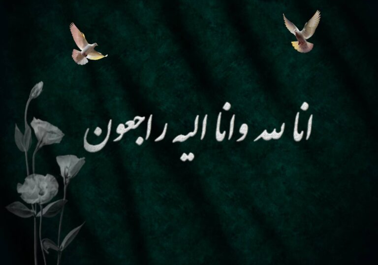 پیام تسلیت سازمان نظام پرستاری به مناسبت درگذشت شهادت گونه دو پرستار در حادثه آمبولانس