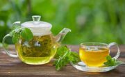چای سبز؛ نوشیدنی سرشار از ترکیبات گیاهی