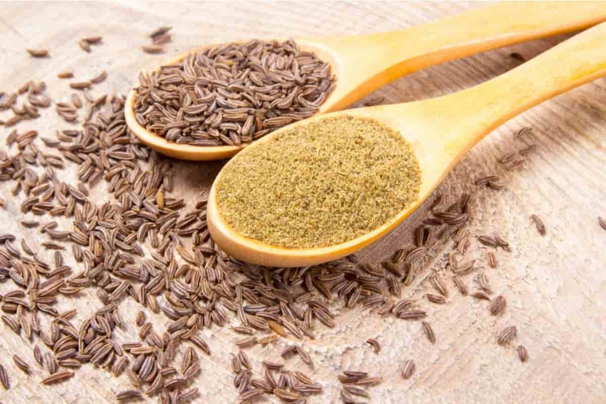 خواص زیره برای گوارش؛ از طب سنتی تا شواهد علمی